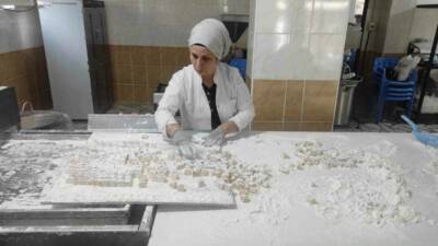 Sason ilçesindeki girişimci kadınlar, coğrafi işaretli organik Sason çileği kullanarak