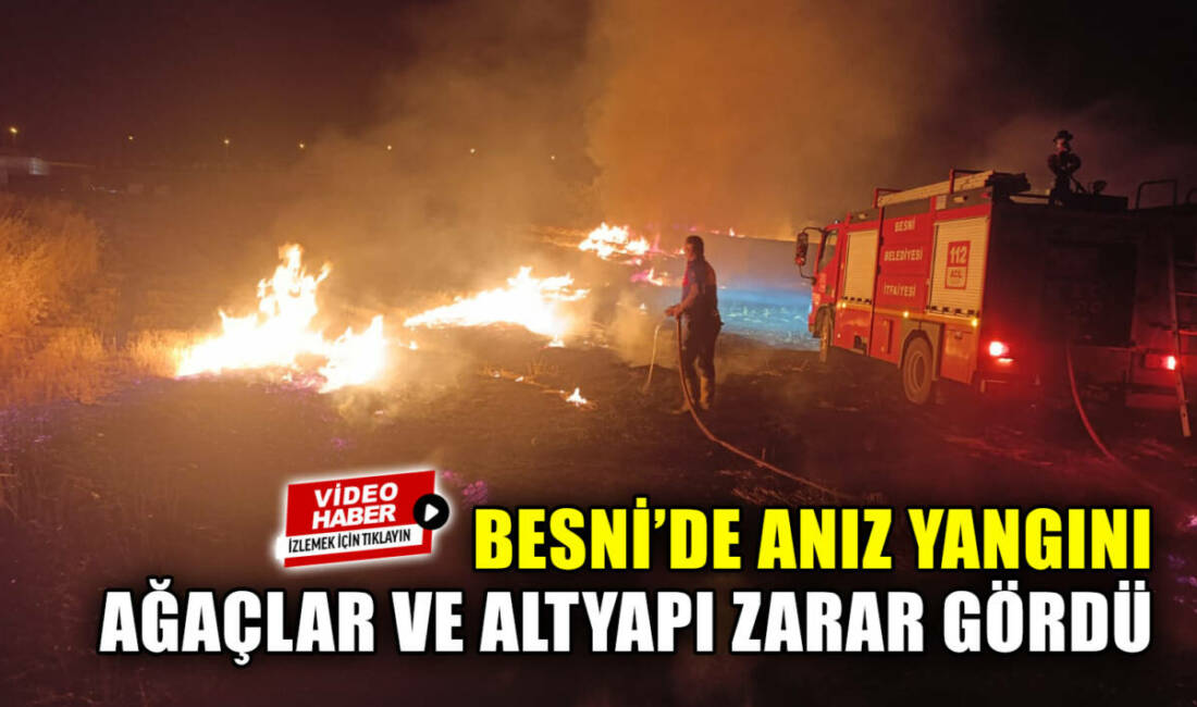 Besni Ali Erdemoğlu Mahallesi, Devlet Hastanesi civarında çıkan anız yangını