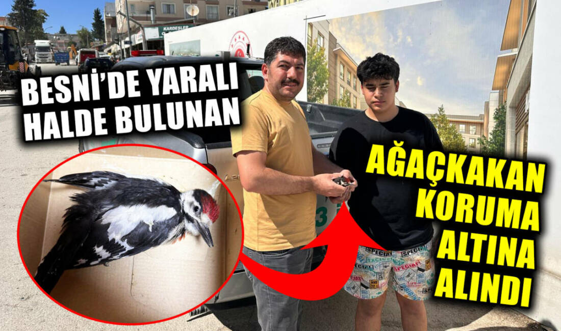 Adıyaman’ın Besni ilçesinde, duyarlı bir genç tarafından yaralı halde bulunan