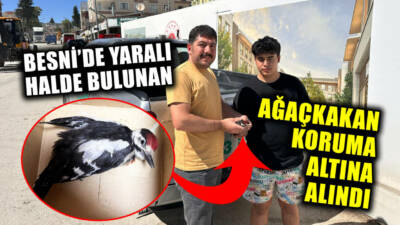 Adıyaman’ın Besni ilçesinde, duyarlı bir genç tarafından yaralı halde bulunan