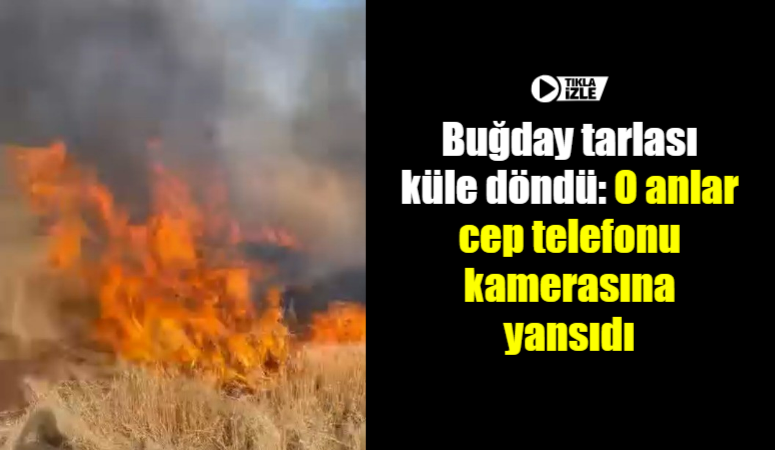 Şanlıurfa’nın Viranşehir ilçesinde çıkan yangında buğday tarlaları küle döndü. Korkutan