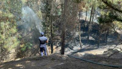 Adıyaman’da 3 arkadaşın ormanlık alanda çakmakla çıkardığı yangın ekiplerin müdahalesiyle