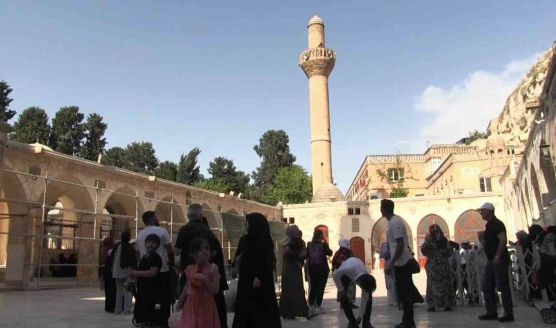 Kahramanmaraş merkezli yaşanan çifte depremler ve sonrasında Adıyaman ve Şanlıurfa'da