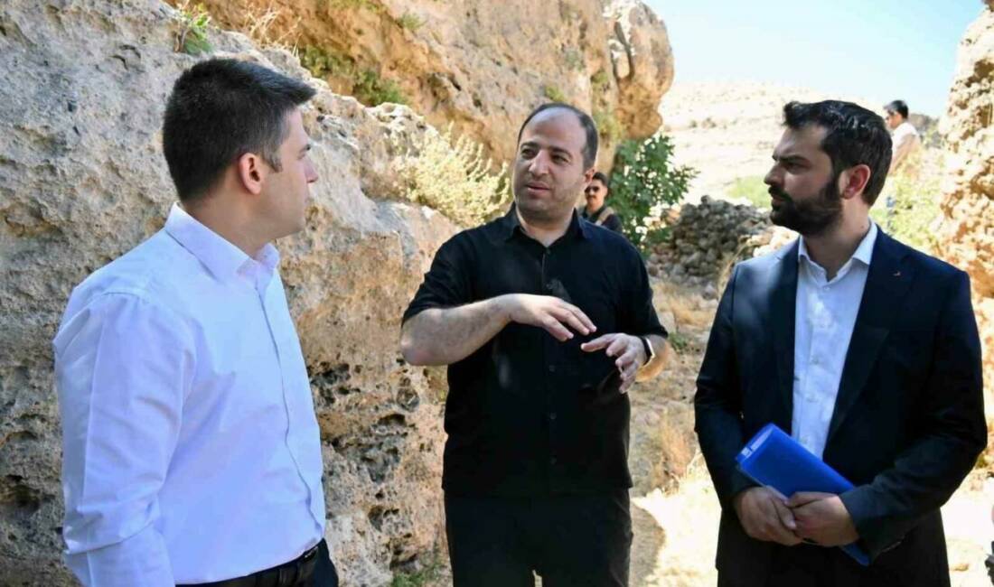 Mardin'in Derik ilçesinde zeytin ağaçlarının sulama ihtiyacını karşılamak amacıyla sulama