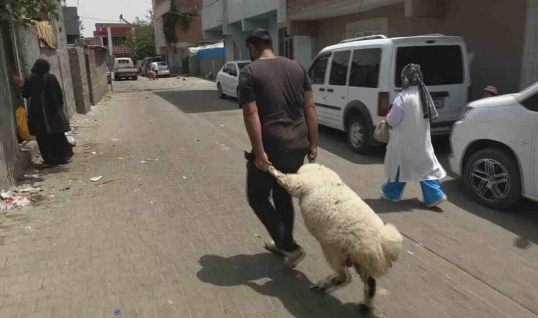 Yenişehir ilçesindeki kurban pazarında son gün büyük yoğunluk yaşandı. Vatandaşlar,