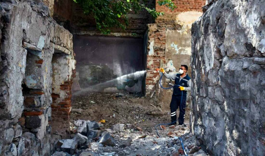 Diyarbakır Büyükşehir Belediyesi, Sur içindeki metruk binalarda yılan, akrep ve
