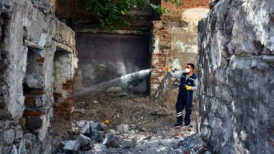 Diyarbakır Büyükşehir Belediyesi, Sur içindeki metruk binalarda yılan, akrep ve