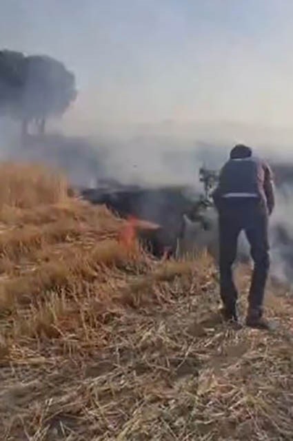 Diyarbakır'ın Dicle ve Hani ilçeleri arasında çıkan yangında vatandaşlar ve