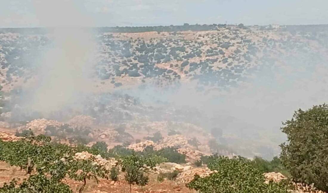 Gaziantep’in Nizip ilçesinde fıstık ve zeytin bahçelerinde çıkan yangın, itfaiye
