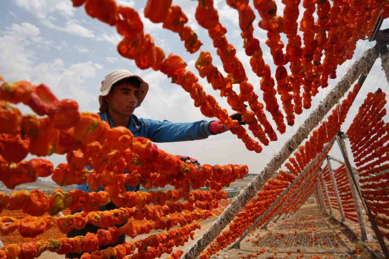 Gastronomi kenti Gaziantep’in geleneksel yemeklerinin vazgeçilmezi ve dünya mutfaklarının tercihi