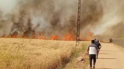 Şanlıurfa’nın Harran ilçesinde hasat zamanı gelen buğday tarlasında çıkan yangında