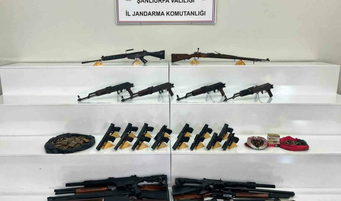Şanlıurfa’nın Viranşehir ilçesinde operasyon gerçekleştiren jandarma ekipleri, samanlık, kayalık alan