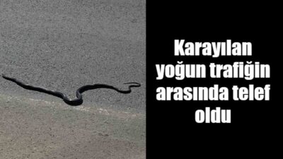 Adıyaman’da, şehir merkezinin en işlek caddesine çıkan karayılan araçların altında