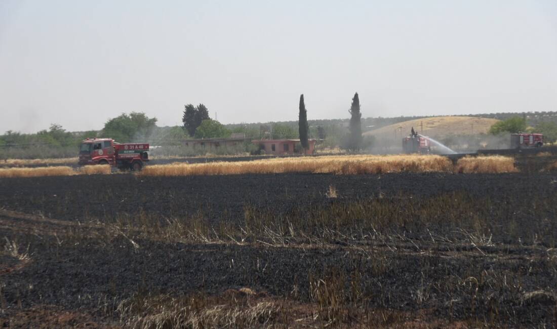 Kilis’te buğday tarlasında yangın Kilis’te buğday tarlasında çıkan 150 dönümlük ekili alanda zarara yol