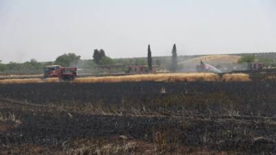 Kilis’te buğday tarlasında çıkan 150 dönümlük ekili alanda zarara yol
