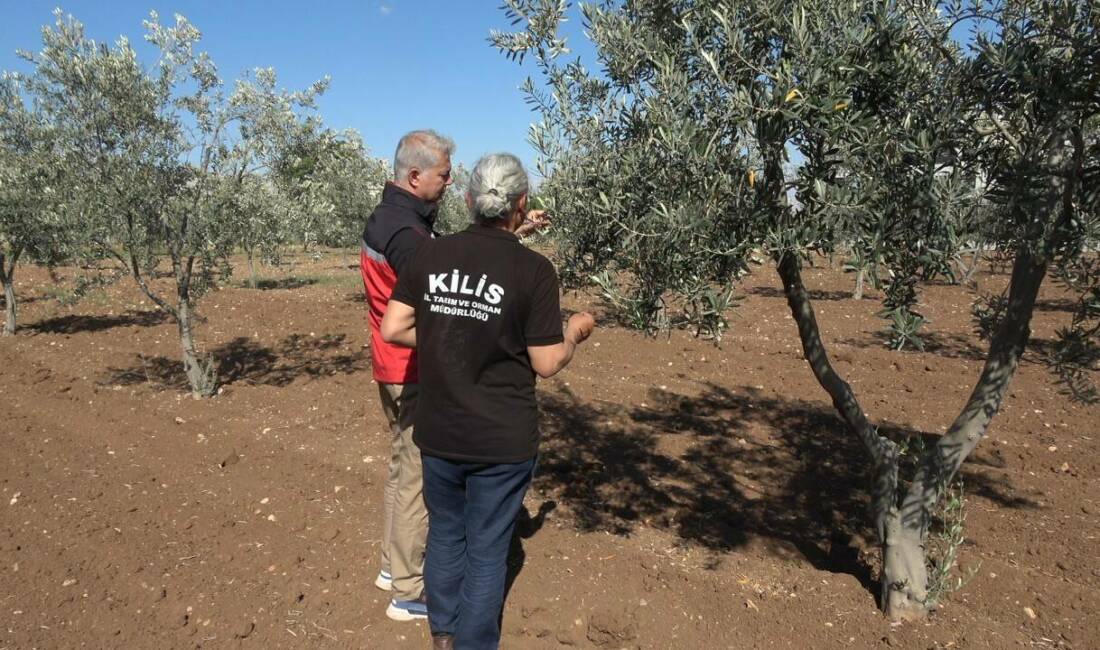 Kilis'te tarımsal sulama alanı 14 bin 147 hektara ulaşmış durumda