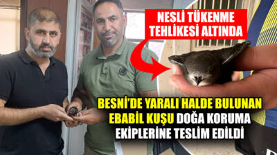 Adıyaman’ın Besni ilçesinde, duyarlı bir genç tarafından yaralı halde bulunan