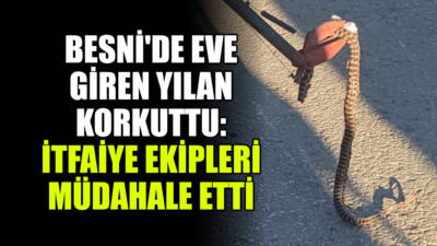 Besni'de bir evde görülen yılan paniğe neden oldu. Vatandaşların ihbarı