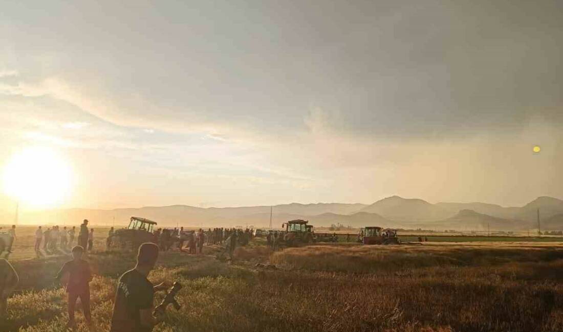 Mardin’in Kızıltepe ilçesinde yangın sonucu yaklaşık 350 dönüm biçilmemiş buğday