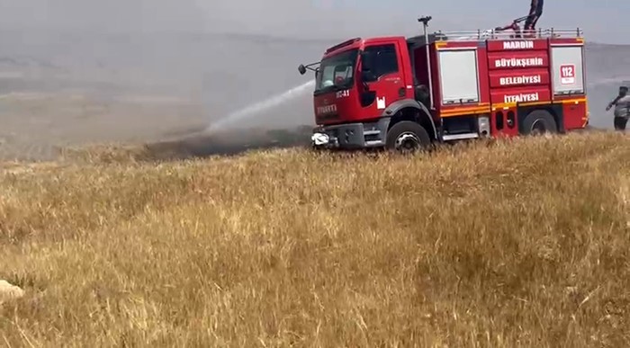 Mardin'in Mazıdağı ilçesine bağlı Şenyuva Mahallesi'nde arpa ekili tarlada çıkan