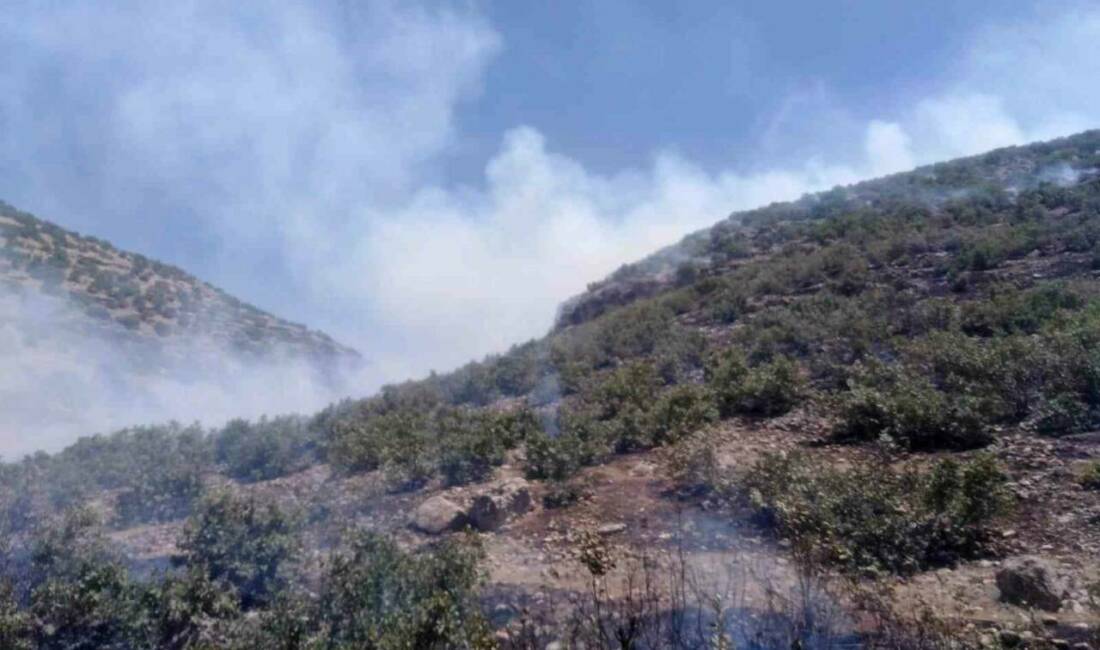 Mardin'in Nusaybin ilçesinde ormanlık alanda çıkan yangın, itfaiye ve jandarma