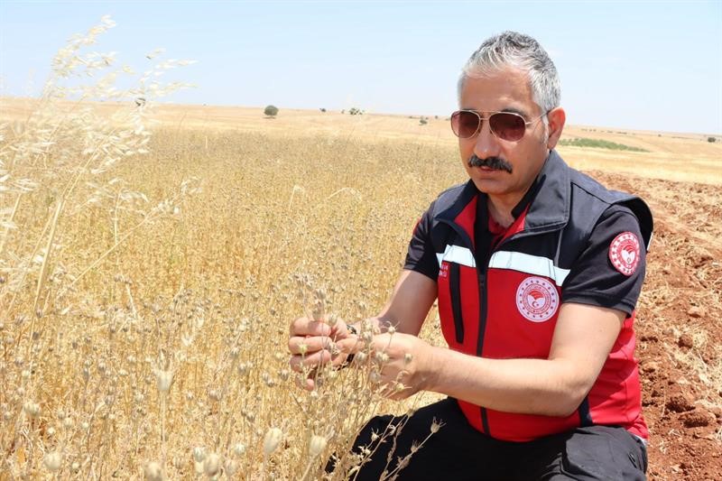 Adıyaman İl Tarım ve Orman Müdürü Abdulkadir Akkan, Besni ilçesindeki