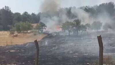 Adıyaman’da, ormanlık alanda meydana gelen örtü yangını itfaiye ekiplerince söndürüldü.