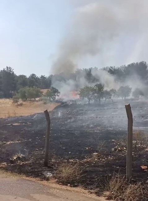 Adıyaman’da, ormanlık alanda meydana gelen örtü yangını itfaiye ekiplerince söndürüldü.