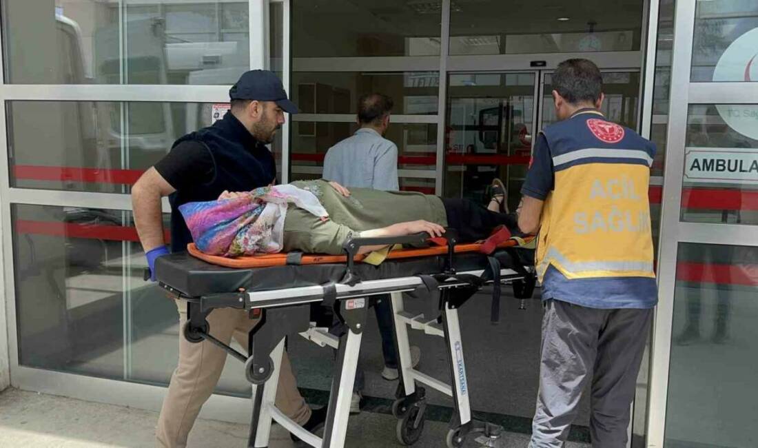 Adıyaman’da, freni boşalan otomobilin şarampole yuvarlanması sonucu 8 kişi yaralandı.