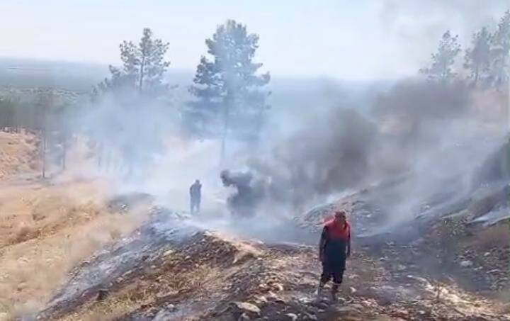 Şanlıurfa’nın Birecik ilçesinde atılan sigara izmaritleri iki farklı yangına sebep
