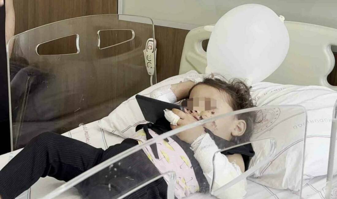 Siirt’te 5. kattan park halindeki aracın üzerine düşen 1.5 yaşındaki