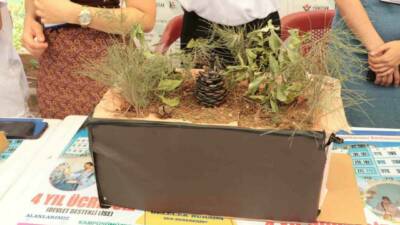 Şırnak'ta Cizre Yunus Emre Anadolu Lisesi öğrencileri, orman yangınlarına karşı