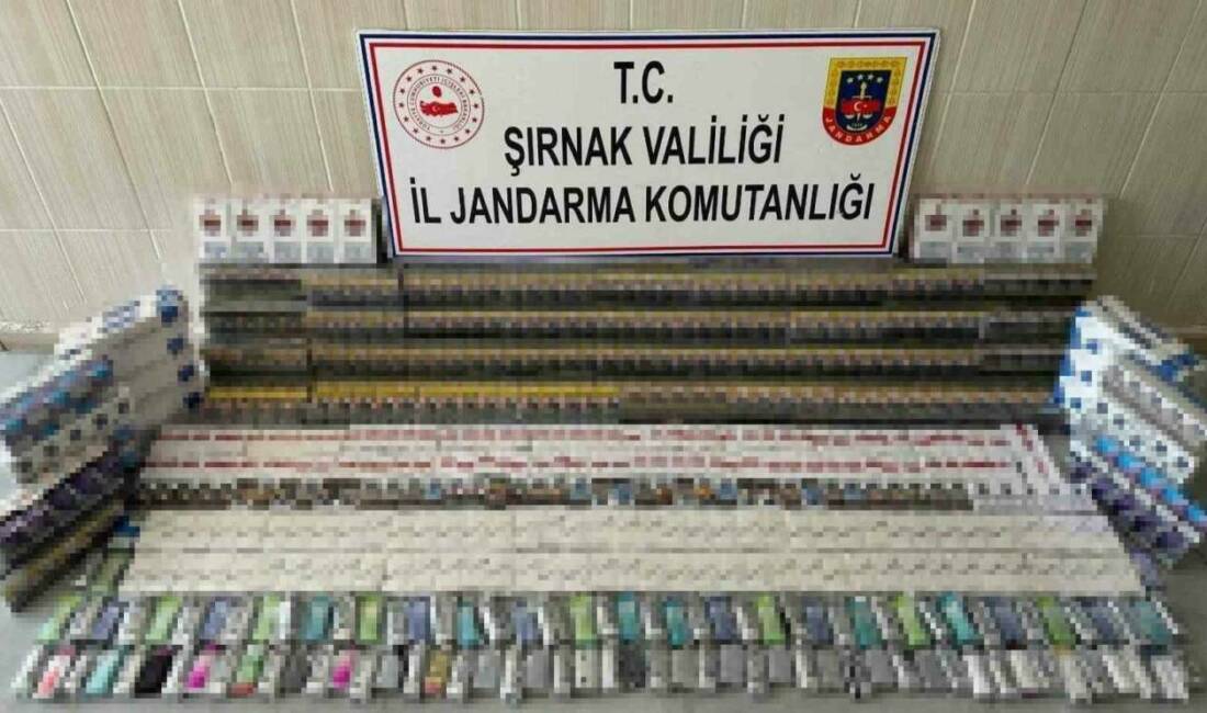 Şırnak'ta gerçekleşen operasyonda 5 milyon 90 bin 130 lira değerinde