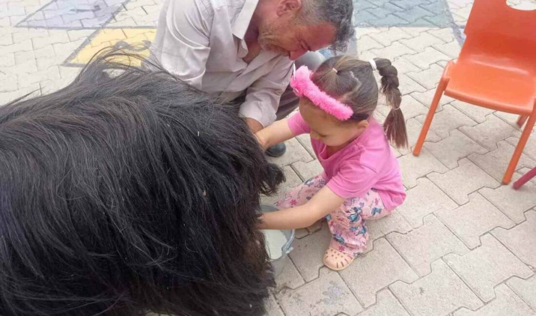 Şırnak Tarım ve Orman İl Müdürlüğü, Şehri Nuh Anaokulu'nda Dünya