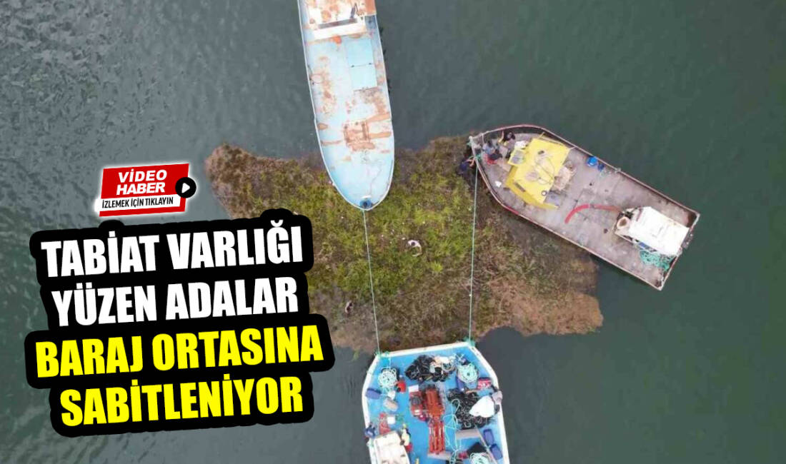 Tescilli Tabiat Varlığı olan Adıyaman’ın Çelikhan ilçesi Çat Barajı’nda ki