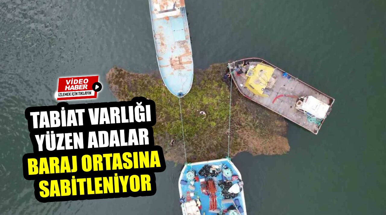 Tescilli Tabiat Varlığı olan Adıyaman’ın Çelikhan ilçesi Çat Barajı’nda ki