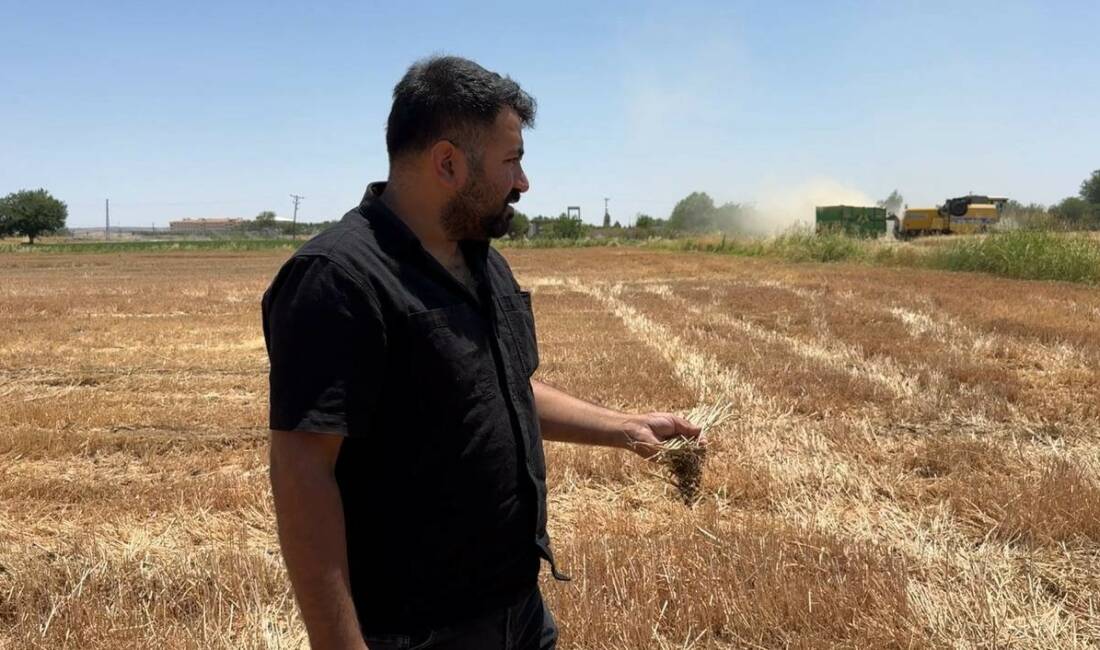 Şanlıurfa’nın Suruç ilçesinde çiftçiler ve uzmanlar, hasat sonrası anız yakmanın