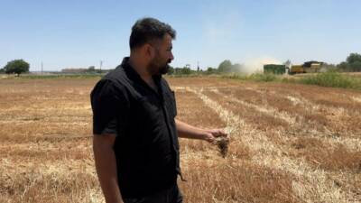 Şanlıurfa’nın Suruç ilçesinde çiftçiler ve uzmanlar, hasat sonrası anız yakmanın
