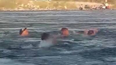 Fırat Nehri’ne giren 3 kişi boğulmaktan son anda kurtarıldı.