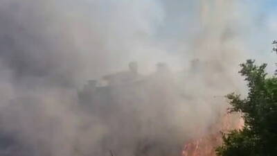 Adıyaman’da, meydana gelen anız yangınının bahçelere sıçraması sonucu ağaçlar cayır