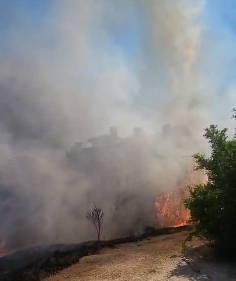 Adıyaman’da, meydana gelen anız yangınının bahçelere sıçraması sonucu ağaçlar cayır