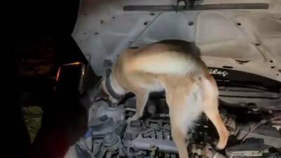 Adıyaman'da 1 Haziran ile 9 Temmuz 2025 tarihleri arasında Adıyaman