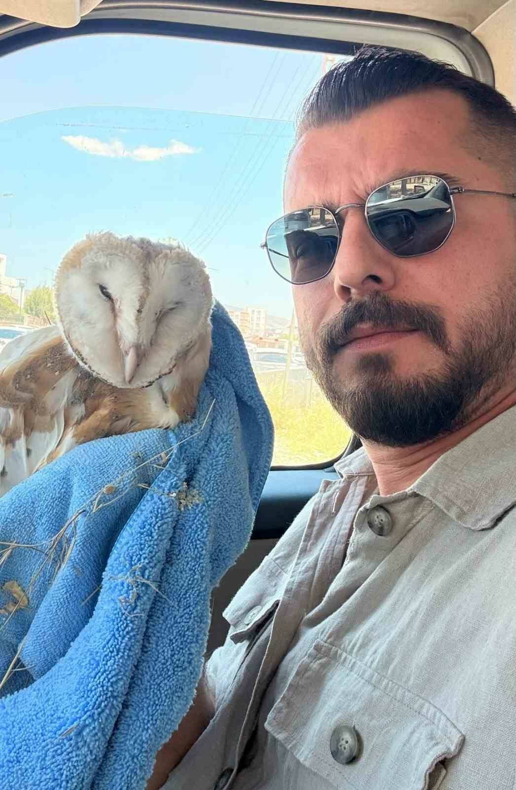 Adıyaman’da, bir bayağı peçeli baykuş bitkin bir şekilde bulundu ve