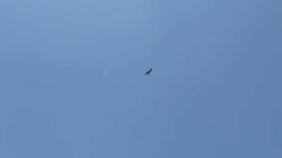 Konya’da gerçekleştirilen geniş kapsamlı Anadolu Kartalları Tatbikatı kapsamında Adıyaman semalarında