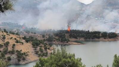 Adıyaman’da, ormanlık alanda çıkan yangın kokuttu. Yangın yerine çok sayıda