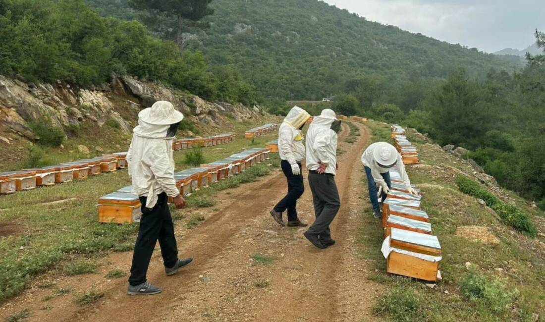 Adıyaman'da arıcılık faaliyetleri oldukça önemli bir ekonomik katkı sağlamaktadır. Başkan