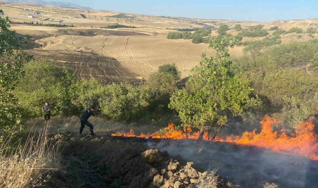 Adıyaman’da meydana gelen anız yangının bahçelere sıçraması korkuttu.
