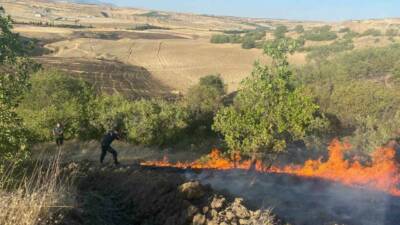 Adıyaman’da meydana gelen anız yangının bahçelere sıçraması korkuttu.