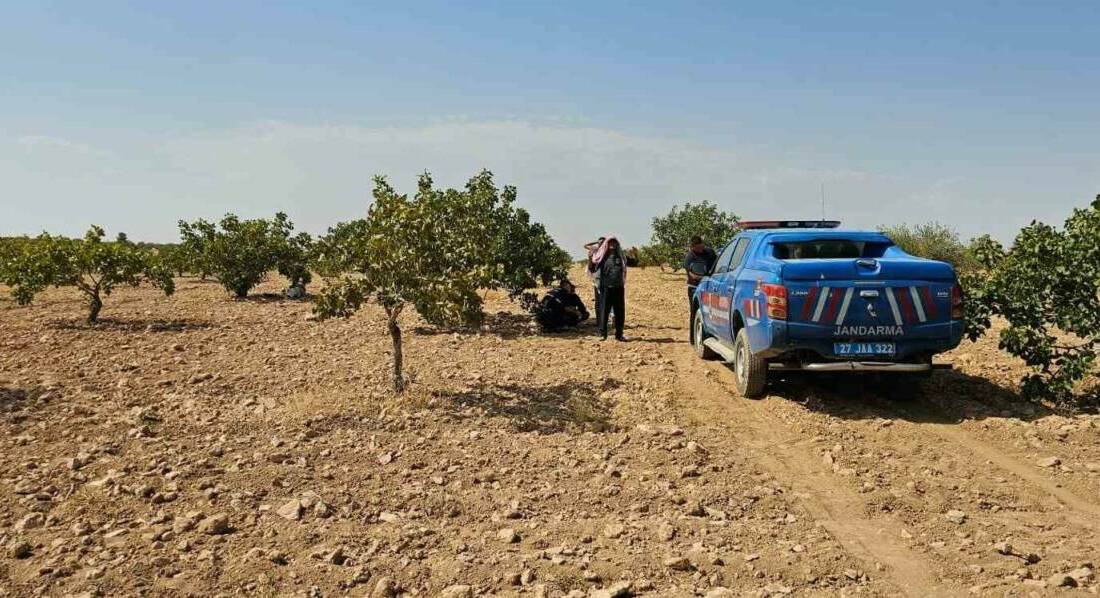 Karkamış ilçesinde bir işçinin Antep fıstığı hasadı sırasında fenalaşıp hayatını