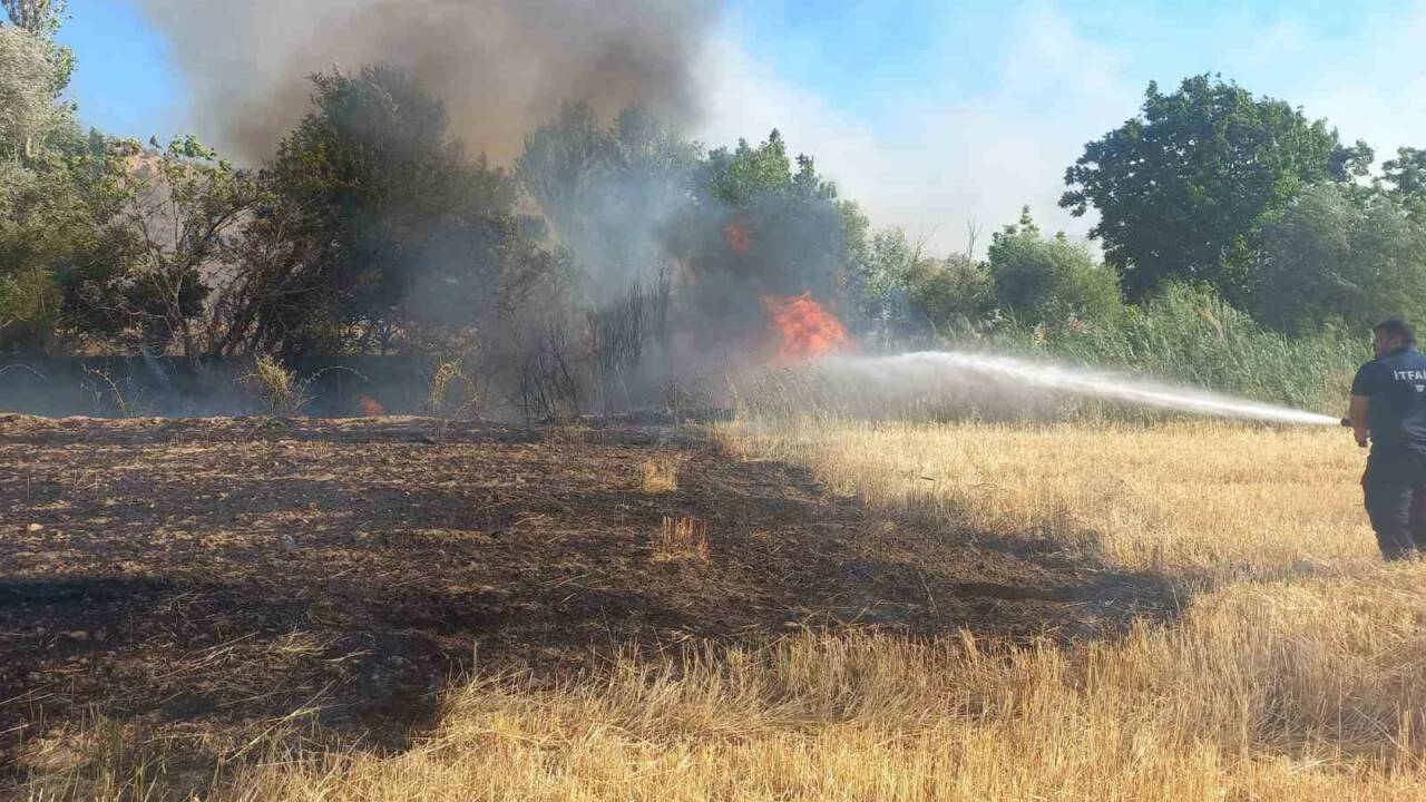 Adıyaman’ın Gölbaşı ilçesinde balya makinesinden çıkan kıvılcım, 200 dönümlük alanı